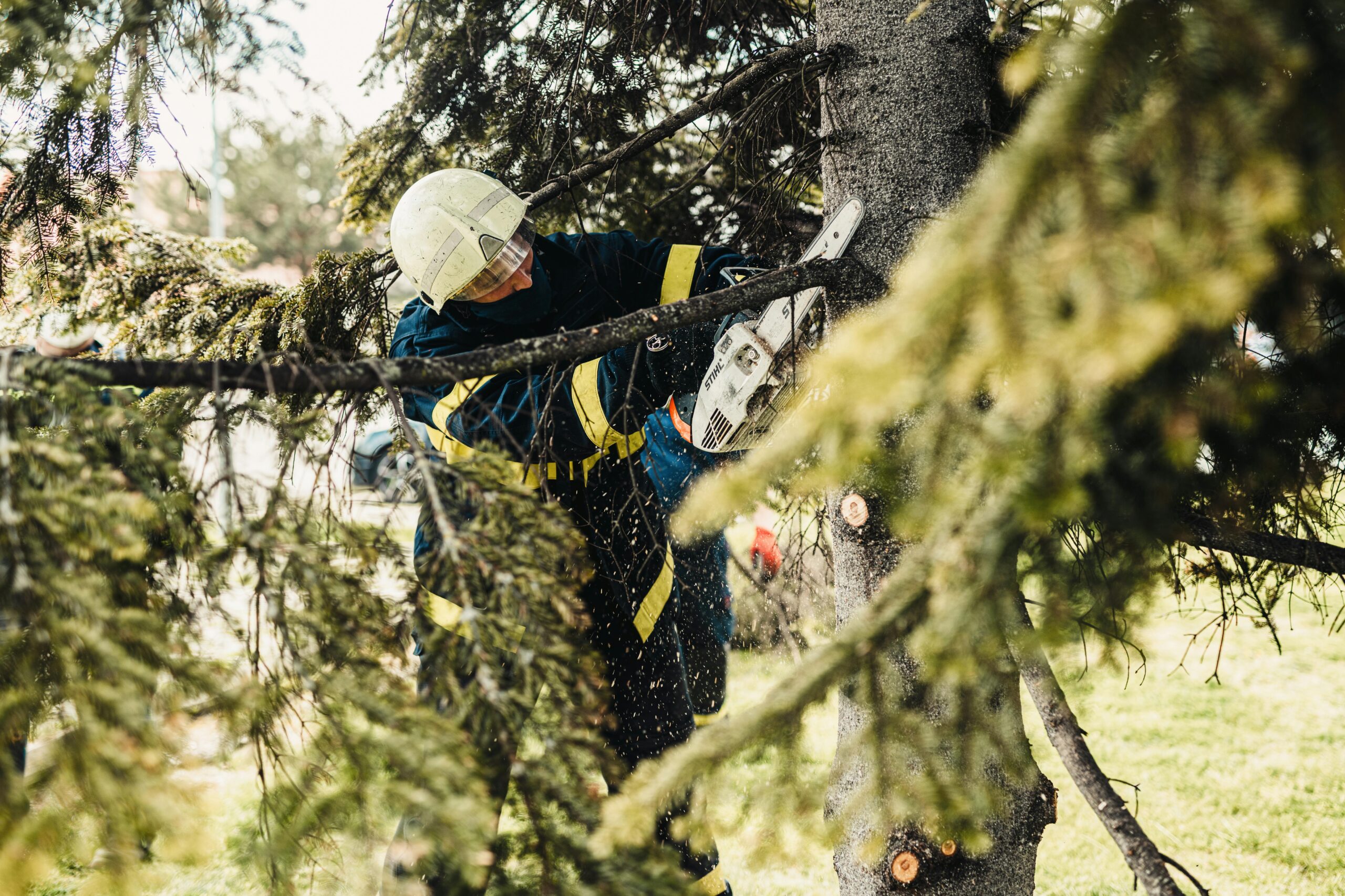 Emergency Tree Cutting Services: What to Do When a Tree Poses Immediate Danger