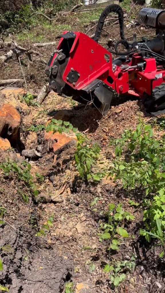 Stump grinder reducing a tree stump, with wood chips flying