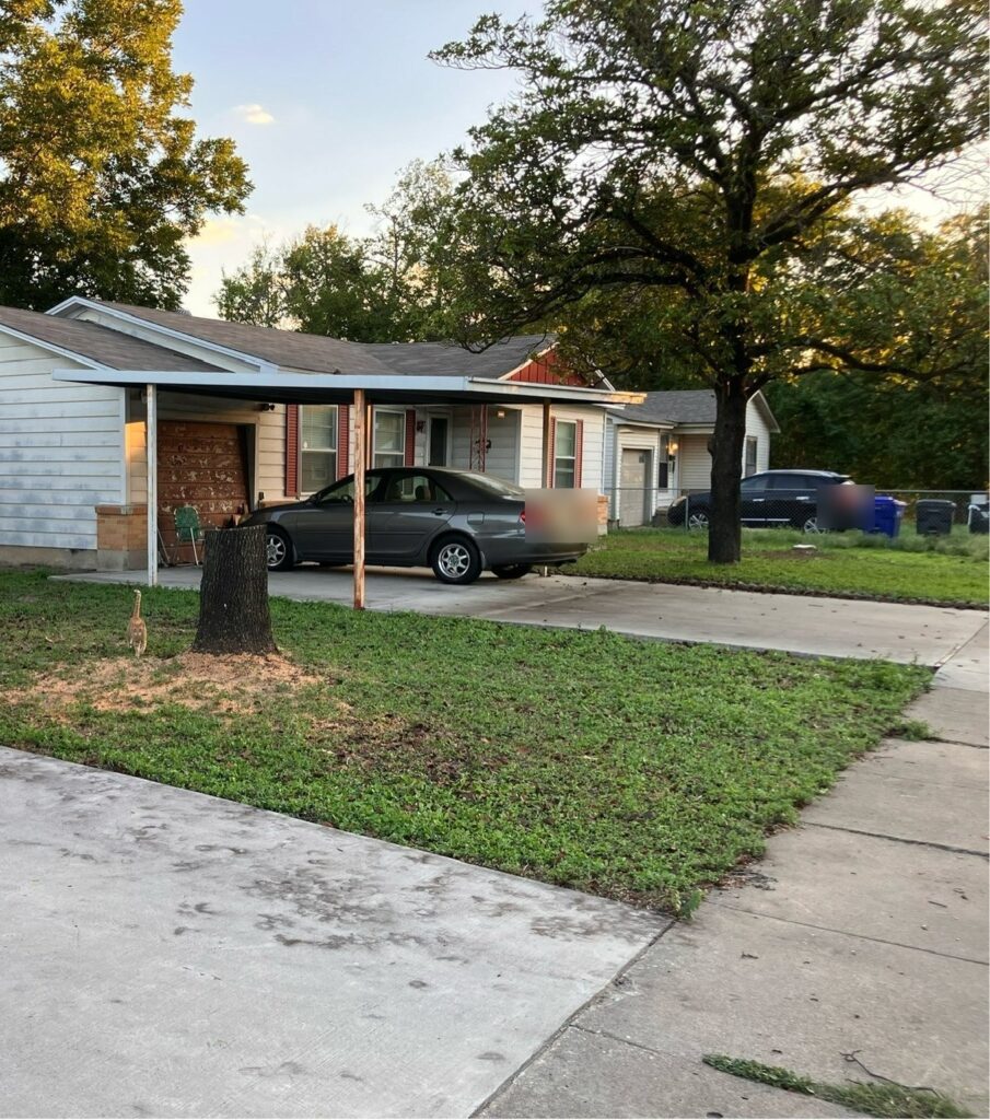 Pear tree removal in Waco, October 2026: after