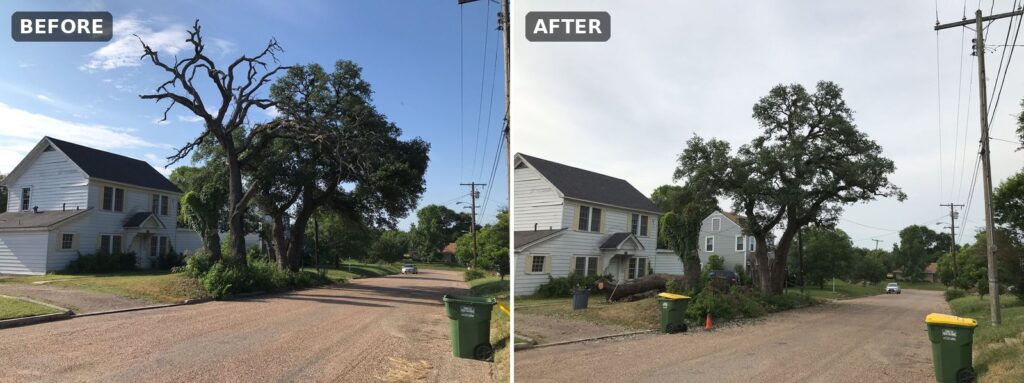 Emergency tree service, Central Texas: hazardous dead oak removed, healthy live oak kept. Before and after.