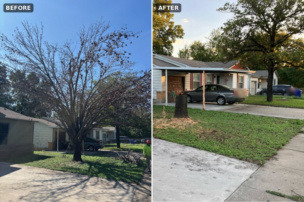 Pear tree removal in Waco: before and after.